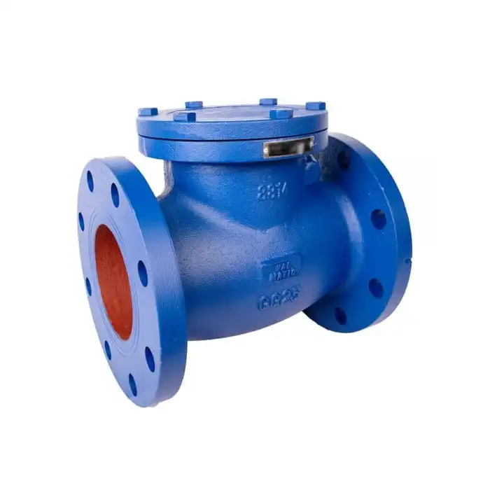 12 Swing Check Valve: How It Prevents Reverse Flow